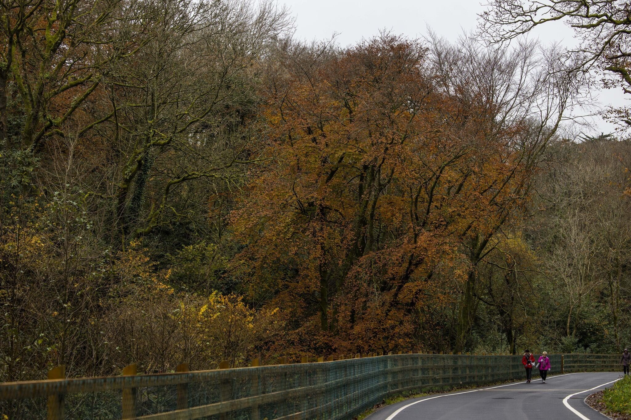 Assessment of the Tramore Valley Way / Vernon Mount Bridge