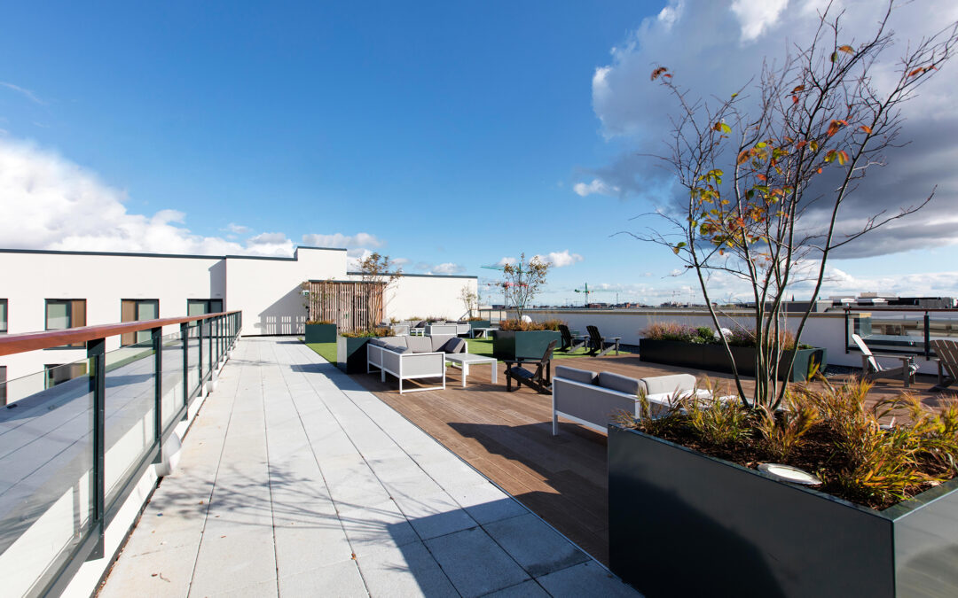 Roof Garden Cork Street Student Accommodation DBFL