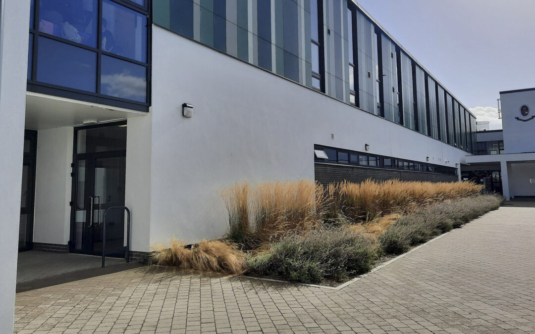 Colaiste Chiarain Croom 2